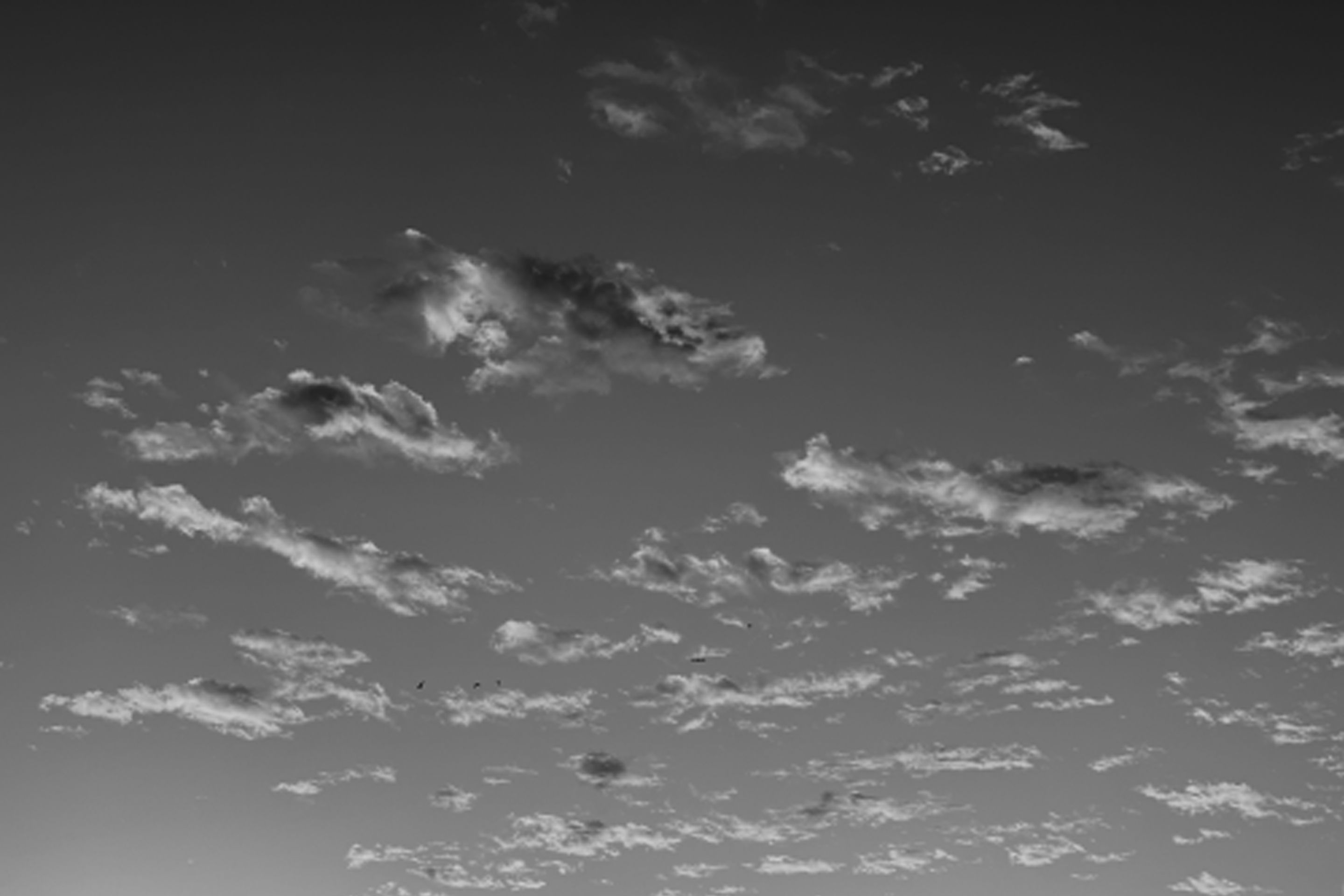 Wölkchen am Himmel in grau
