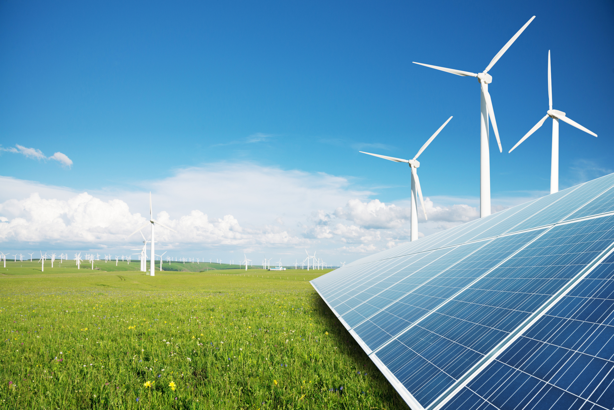 Windturbinen und Solarzellen in einem Feld