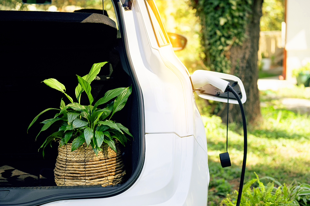 E-Mobilität E-Auto fährt durch Natur leise und emissionsfrei