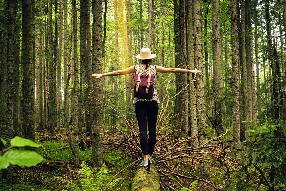 Frau von hinten in einem Wald, die auf einem umgefallenen Baumstamm balanciert.